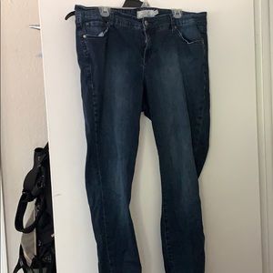 Torrid denim - skinny jean